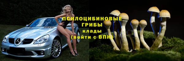 ГАЛЛЮЦИНОГЕННЫЕ ГРИБЫ Каменногорск
