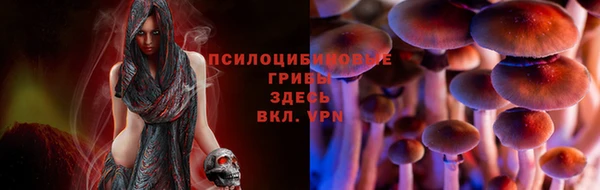 jwh Каменка