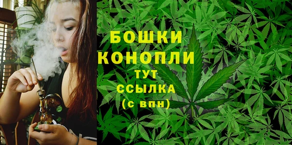 ГАЛЛЮЦИНОГЕННЫЕ ГРИБЫ Каменногорск