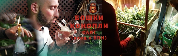 PSILOCYBIN Каменск-Шахтинский