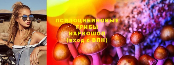 PSILOCYBIN Каменск-Шахтинский