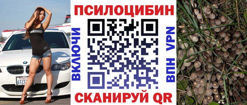 Купить  Лесосибирск  Галлюциногенные грибы прущие грибы 